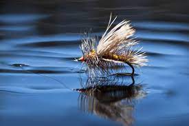 A dry fly's presentation is essential out on the water and is key to landing more fish.