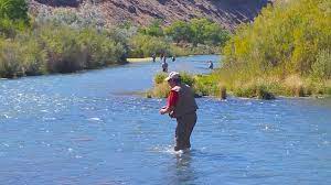Anglers are growing and growing as the sport becomes bigger, so you have to adapt and share the water with the growing population.